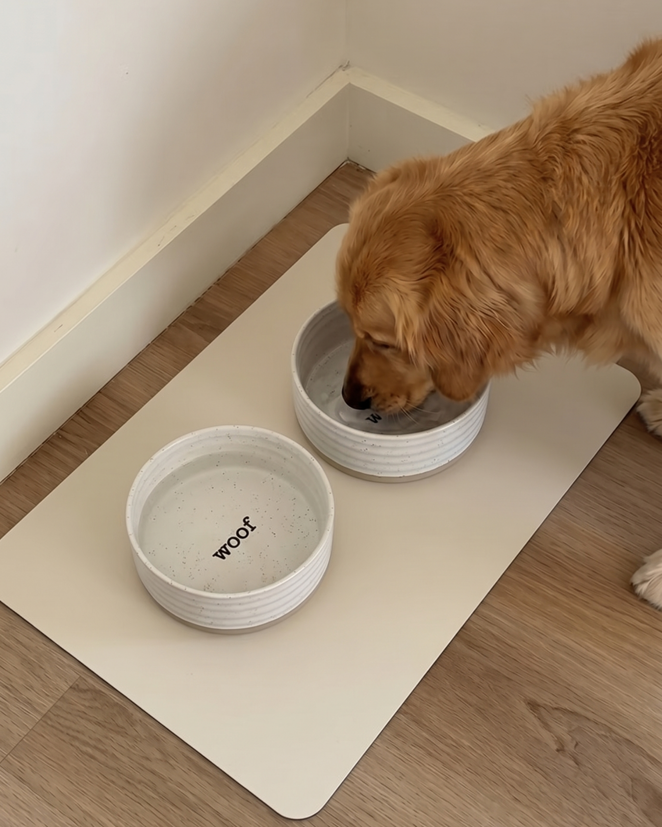 Paw Mat Essential