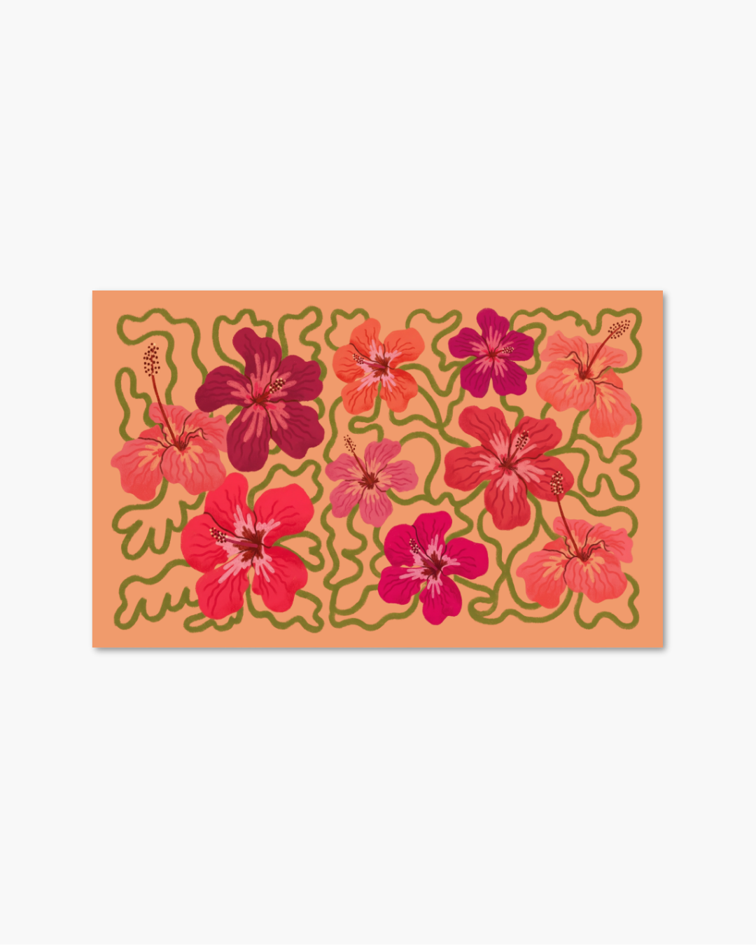 Hibiscus