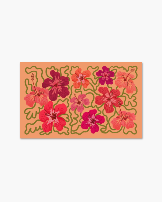 Hibiscus