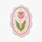 Tulipa