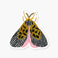 Papillon