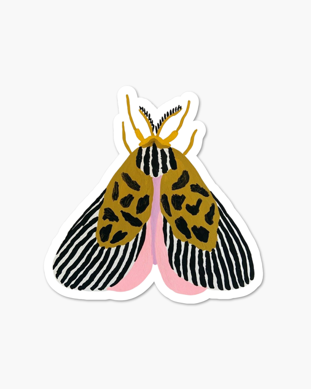 Papillon
