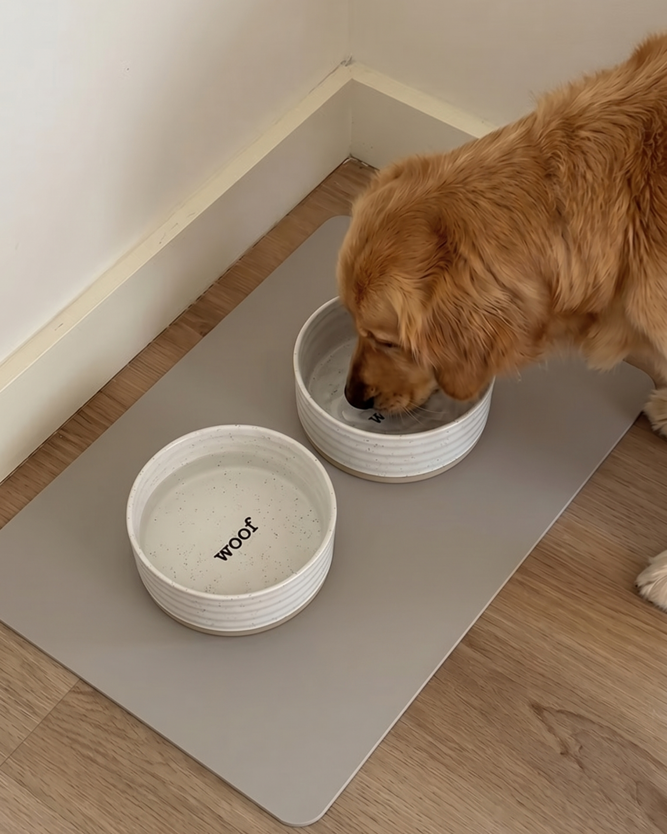 Paw Mat Essential