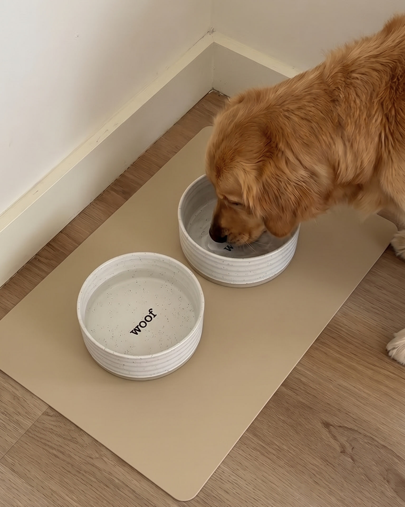 Paw Mat Essential