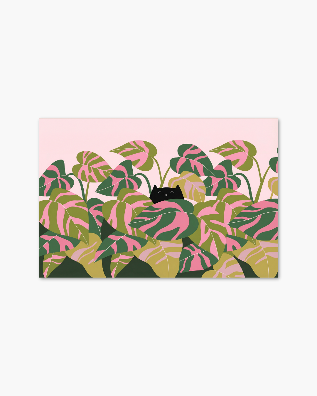 Palm Shade
