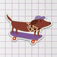 Skater Pup