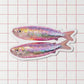 Disco Sardines