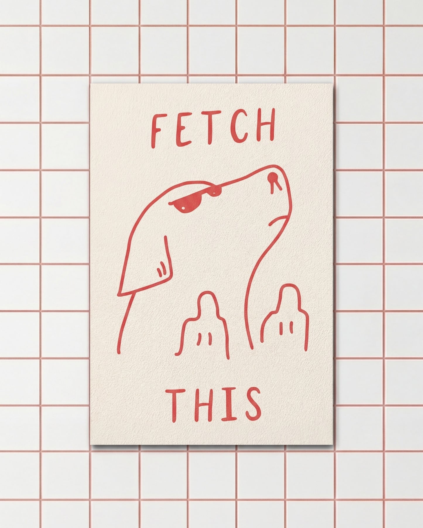 Fetch This