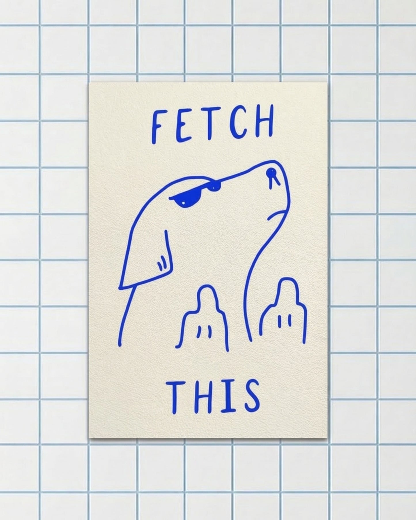 Fetch This