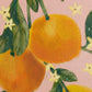 Citrus Grove