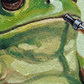 Vaping Frog